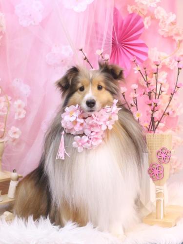 20250326ノアくん